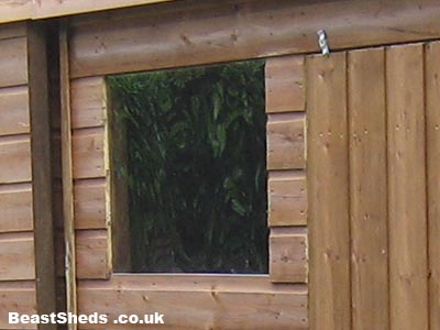 standard shed window